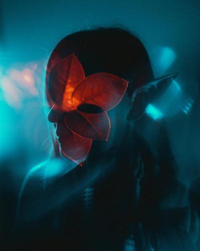 DSCF1651D